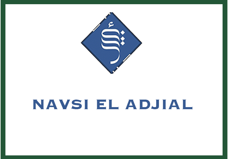 NAVSI